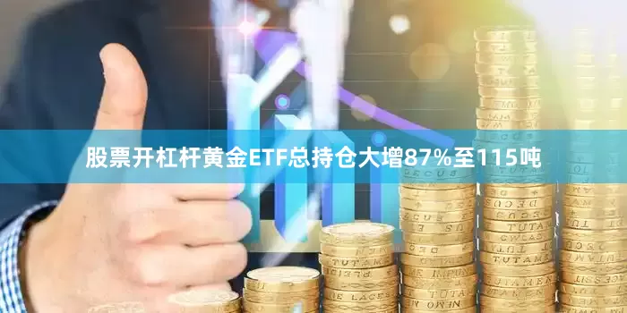 股票开杠杆黄金ETF总持仓大增87%至115吨