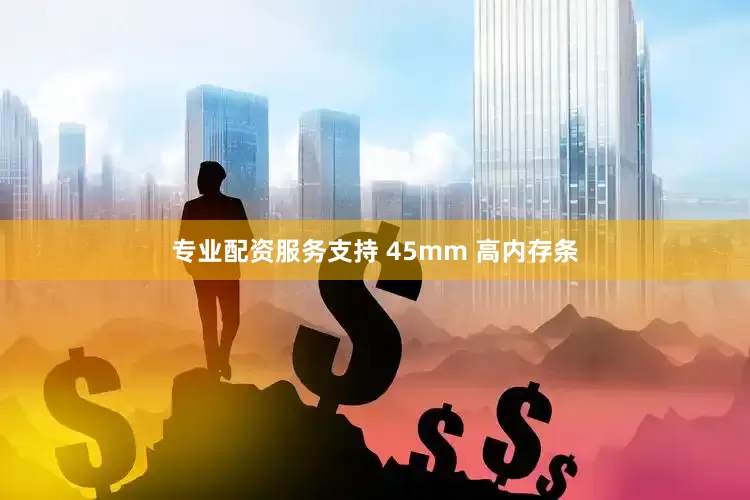 专业配资服务支持 45mm 高内存条