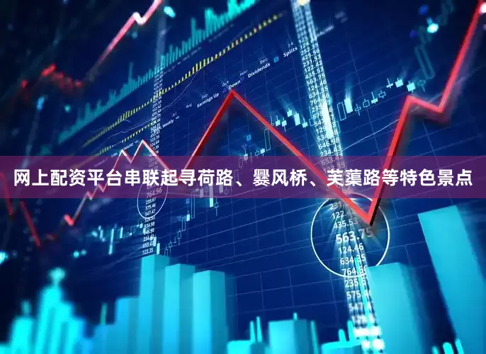 网上配资平台串联起寻荷路、爨风桥、芙蕖路等特色景点