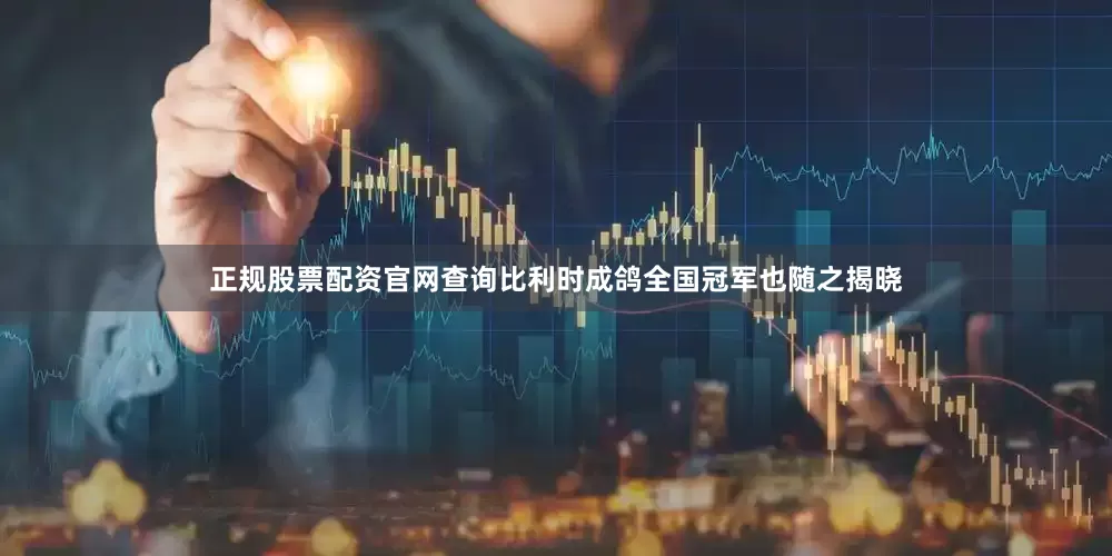 正规股票配资官网查询比利时成鸽全国冠军也随之揭晓