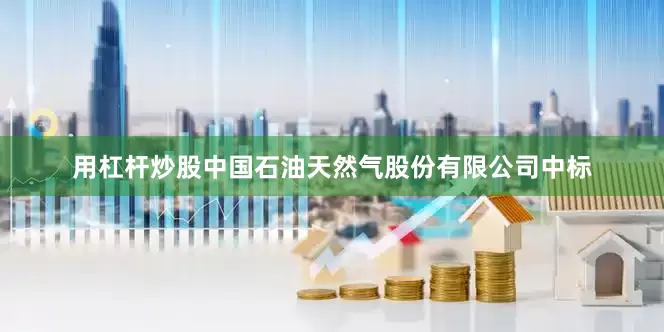 用杠杆炒股中国石油天然气股份有限公司中标